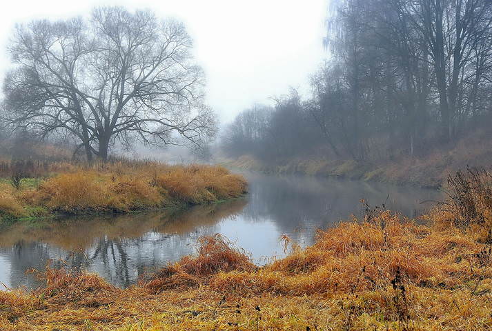  рыжие берега  реки  Истры, ноябрь