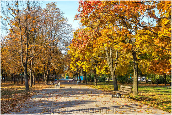 Осенняя листва