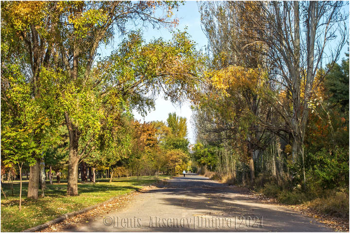 Осенняя пора