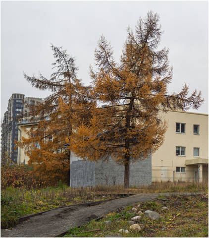 Веселые товарищи