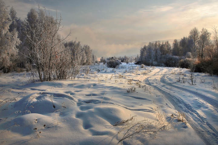 По дороге к реке