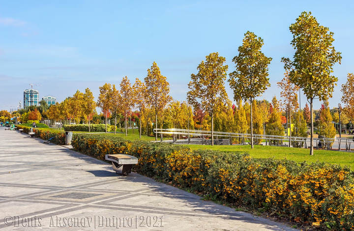 Золотая осень