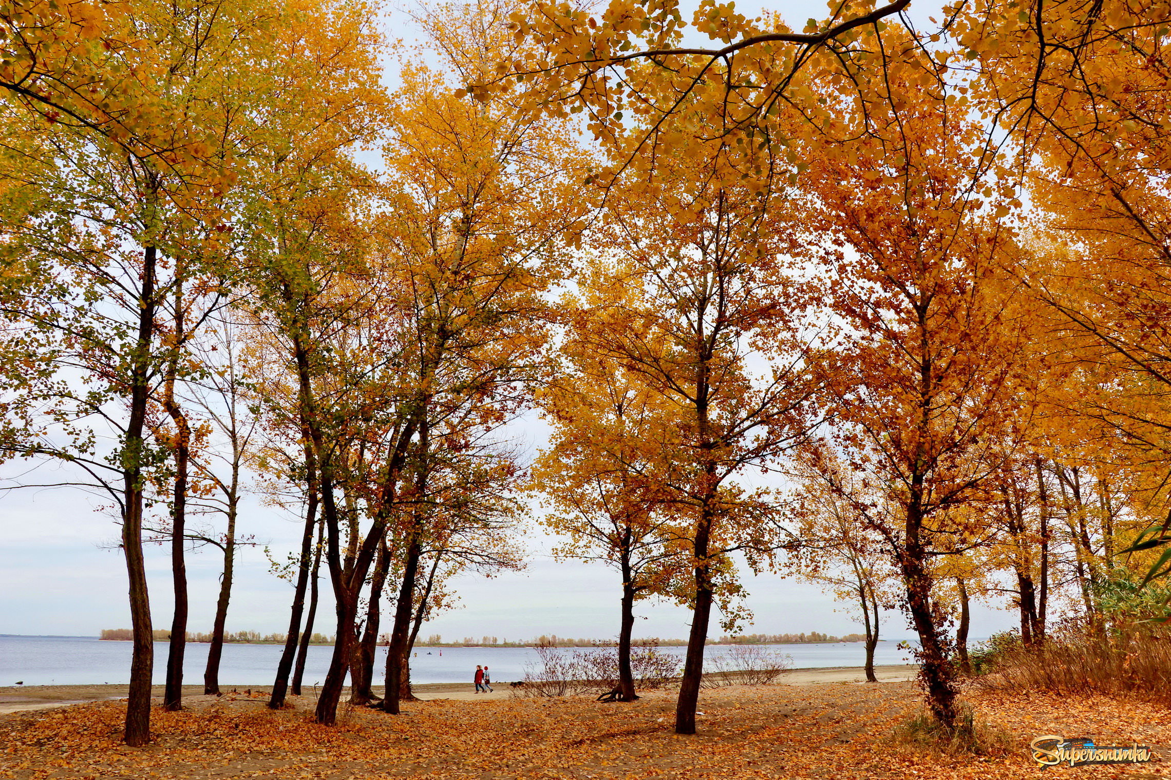  Осень на берегу Днепра.