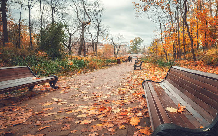Настроение - осень