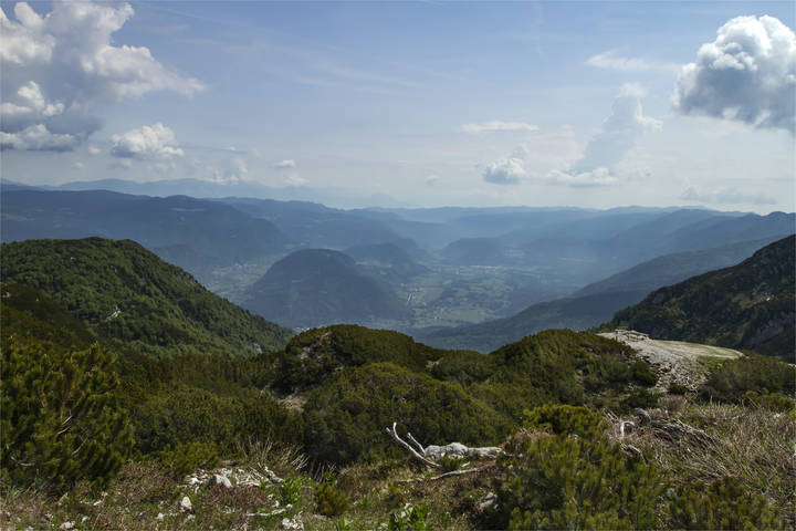 На горе Вогель