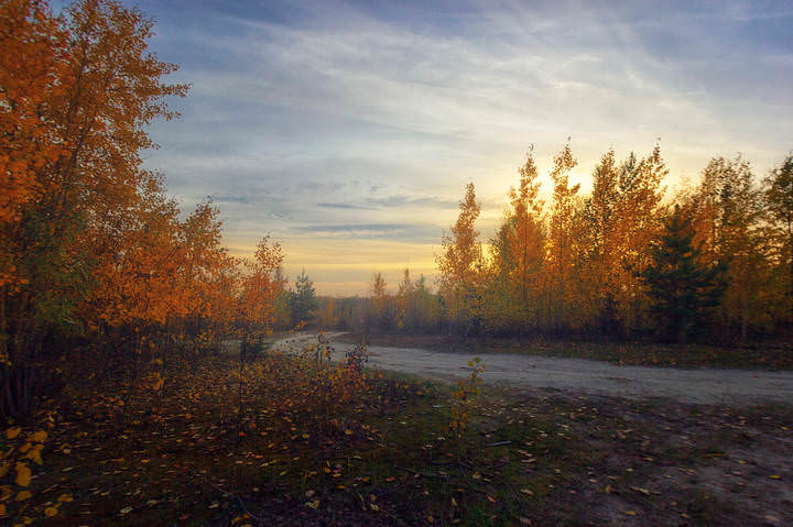 Осень