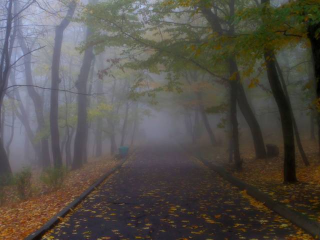 Осеннее утро.......