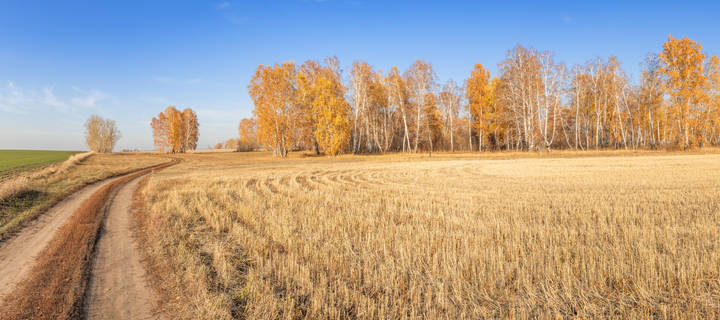 Зигзаги осени