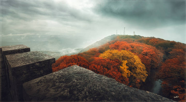 Пестрая вершина