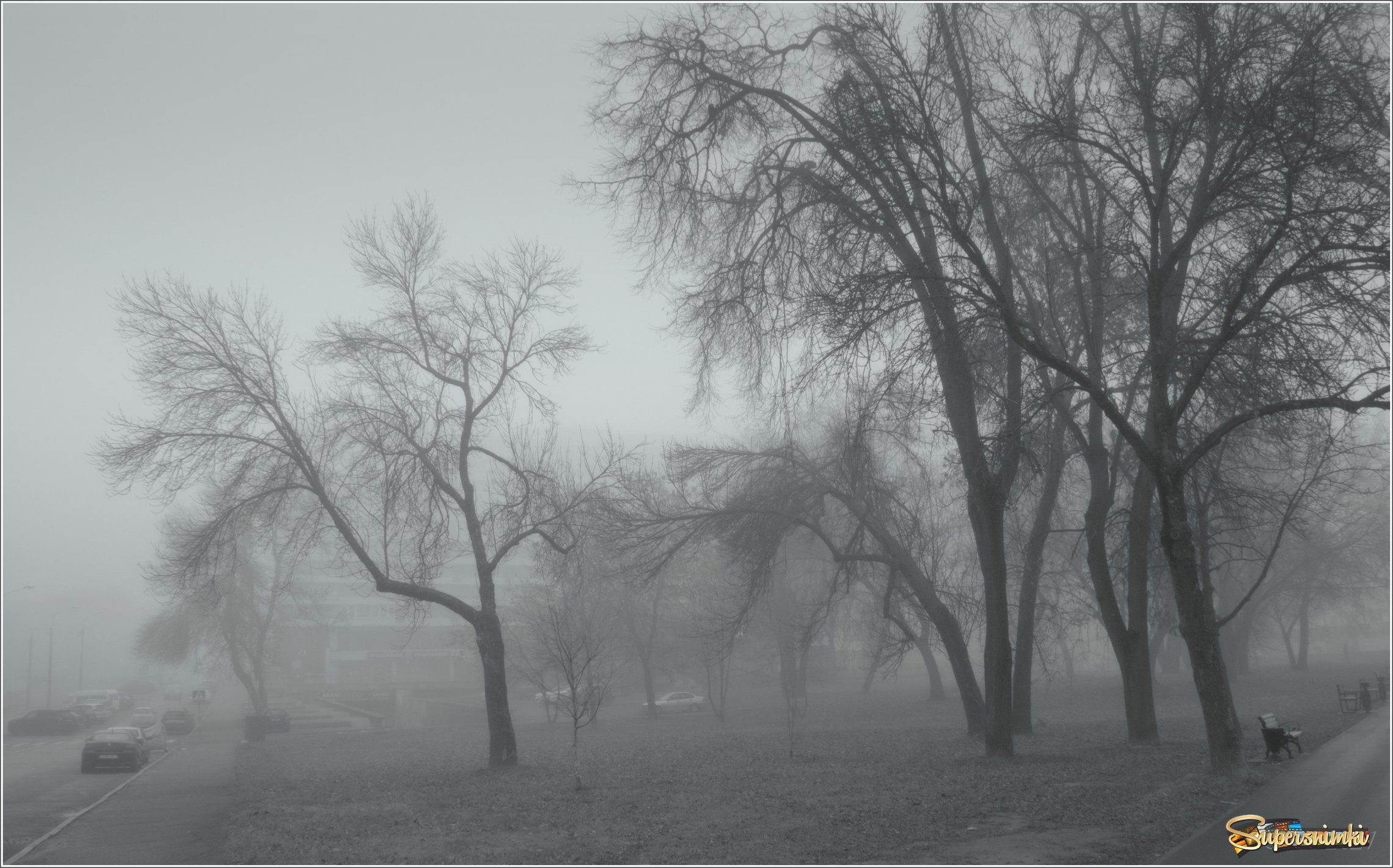 город в осеннем тумане