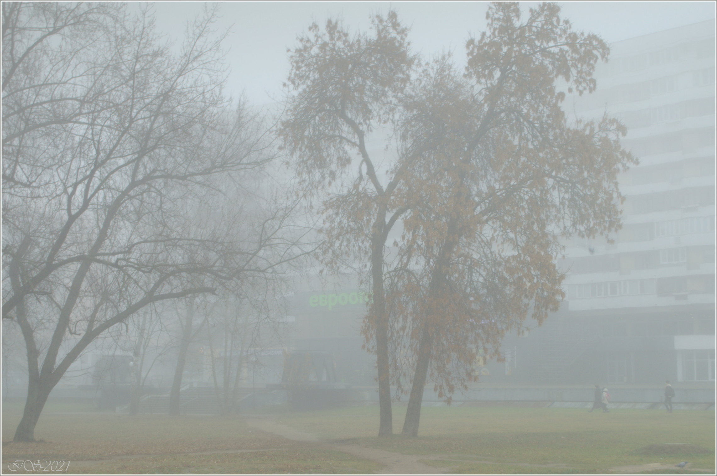 город в осеннем тумане