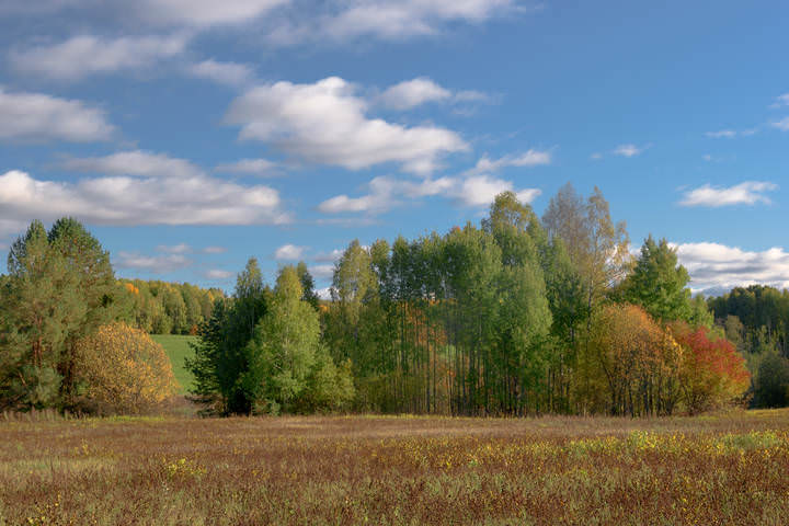 Осенний этюд