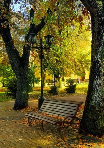 Серия Осенний парк