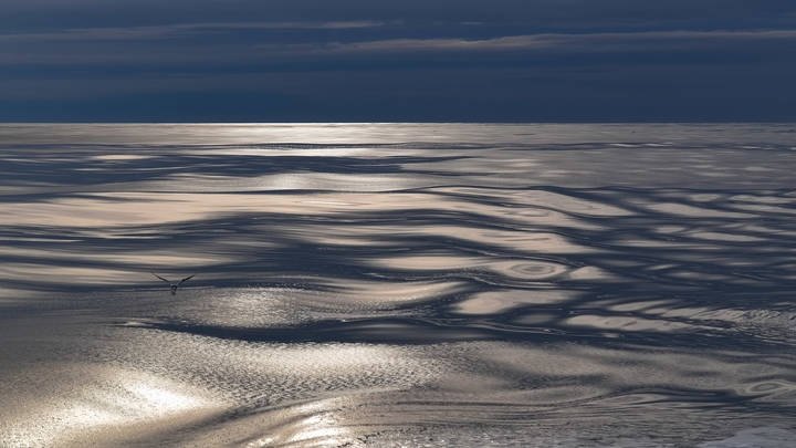 Blue Horizon