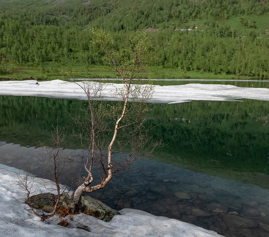 Снежное лето.