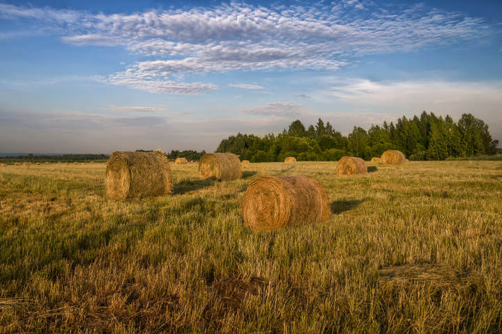 Середина лета