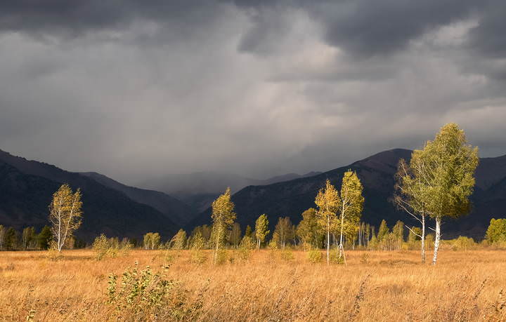 Перед грозой.