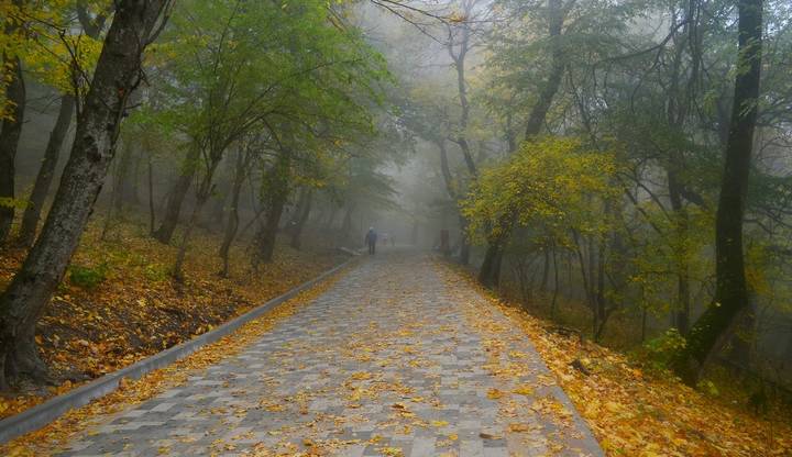 Терренкуром осенним......