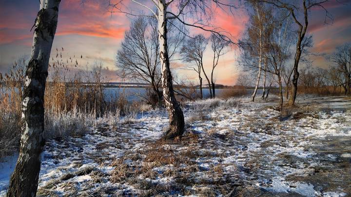 Предзимье в декабре.
