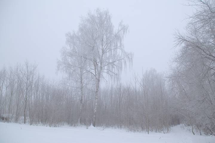 Зима