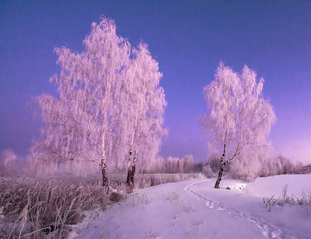 В утреннем свете