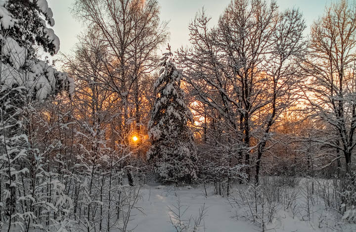 С новым годом!