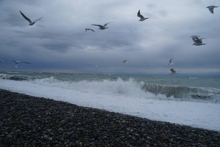 Море в декабре.