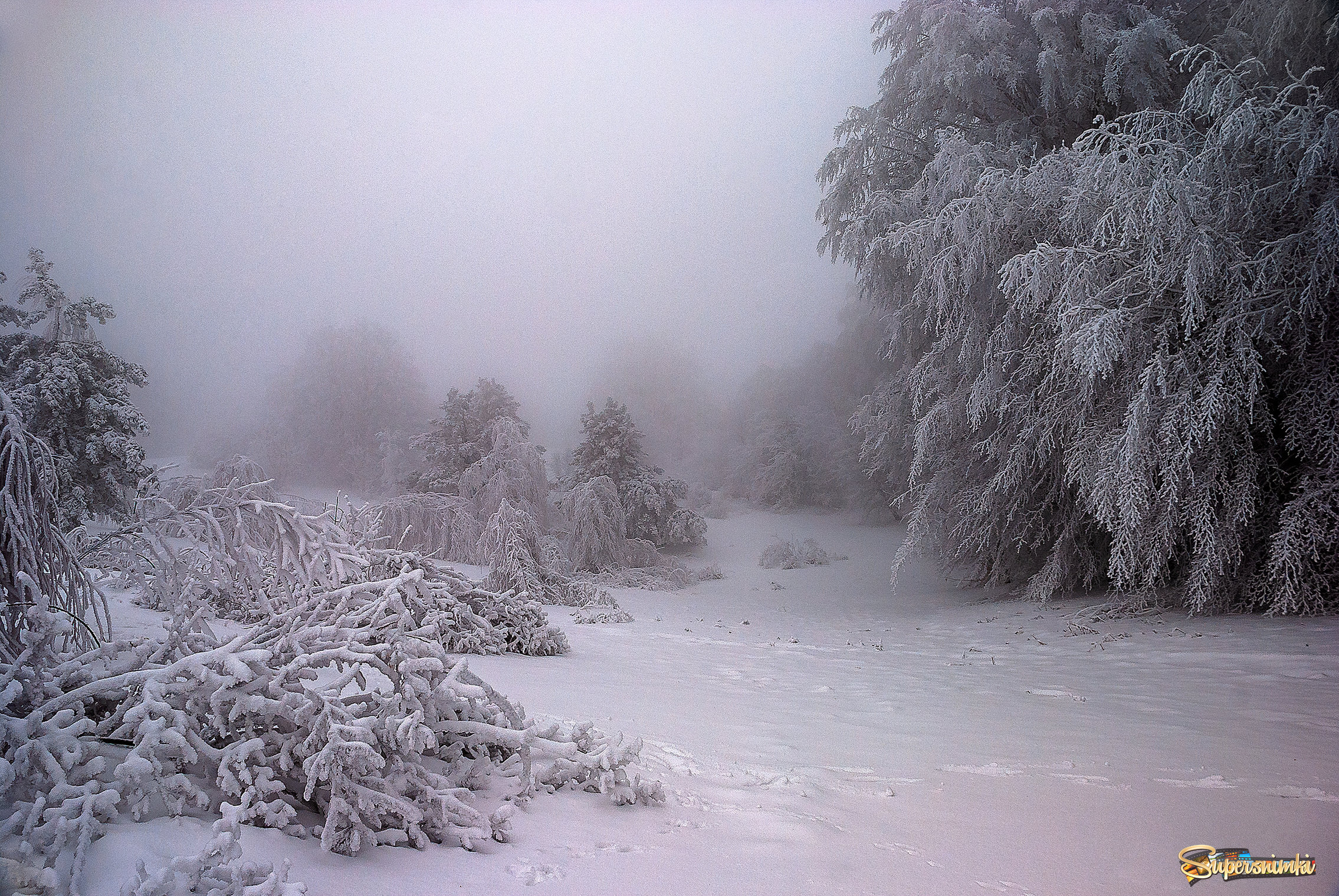 Зима на Ай-Петри