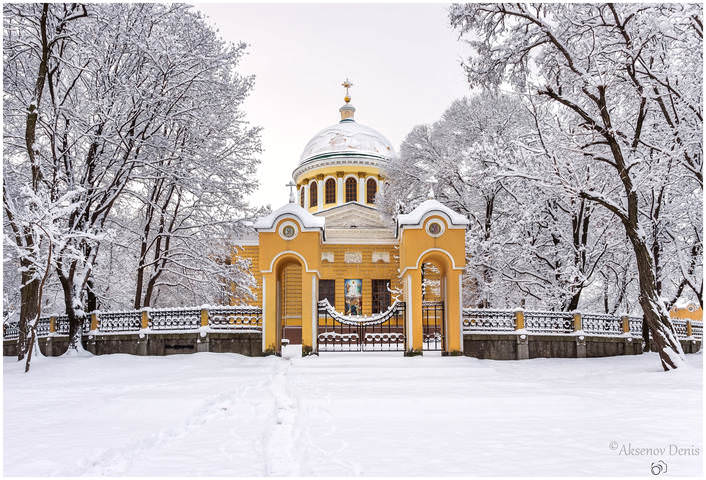 В снежном одеянии