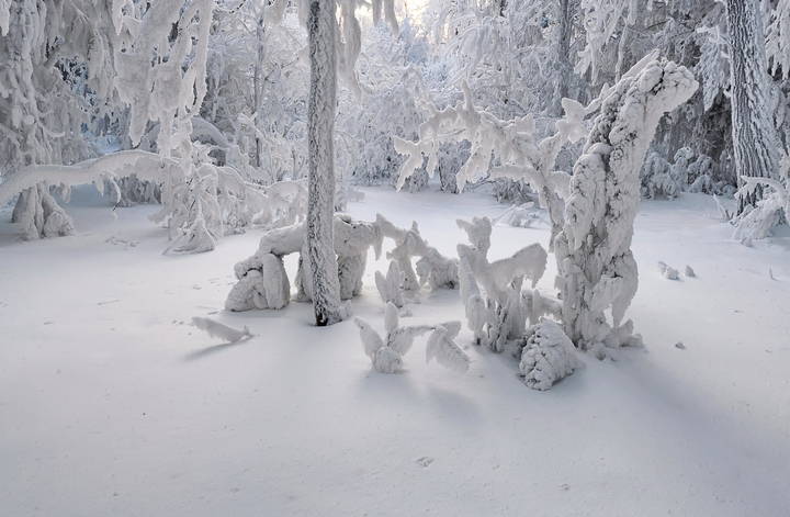Снежный хоровод