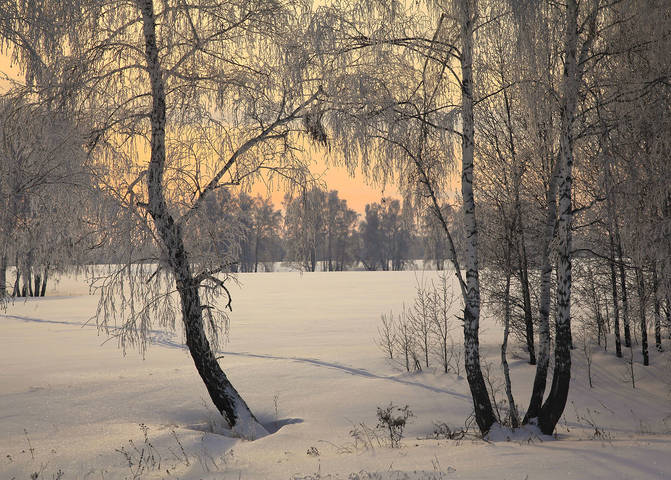 Зимние зарисовки