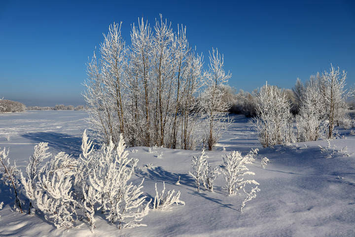 На протоках Оби