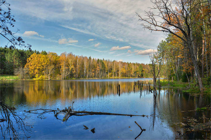 Осень на лесном озере