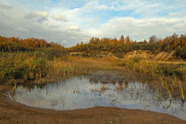 Краски осени