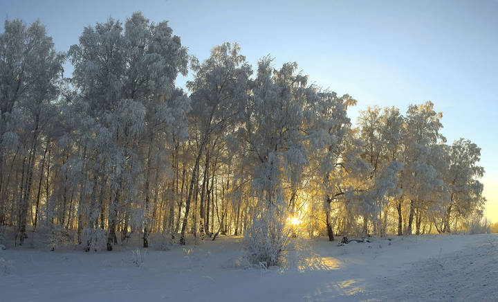 Зимние зарисовки 8