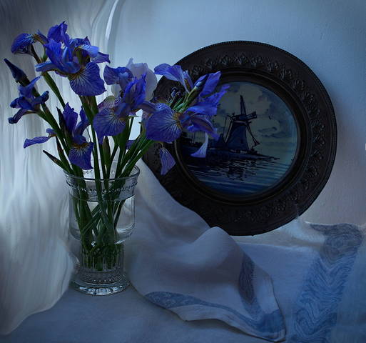 My favorite flowers