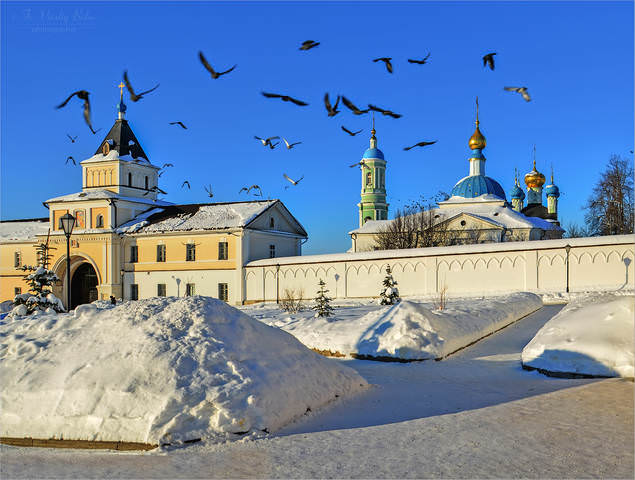 Растревоженные птицы