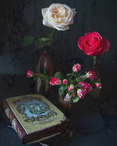 Читая Книгу зимы