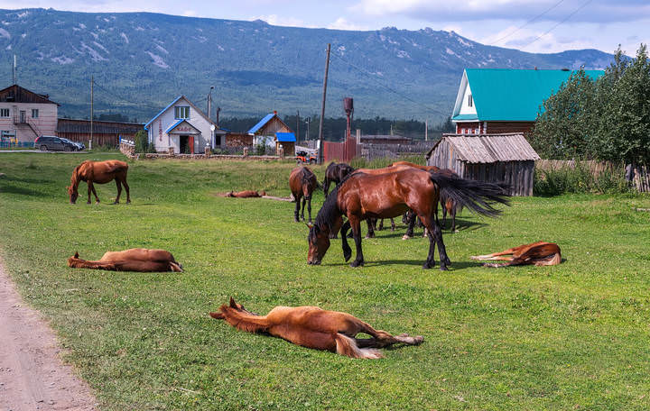 СИЕСТА