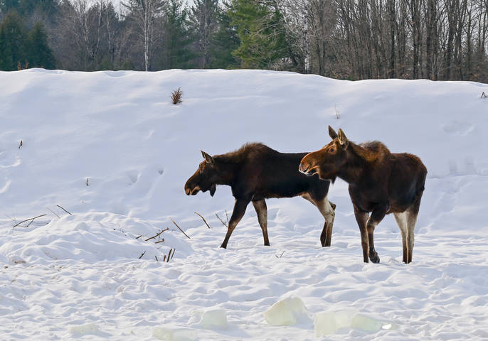 Променад на неожиданном солнышке недолгом.