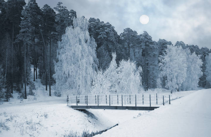 Серебряное утро