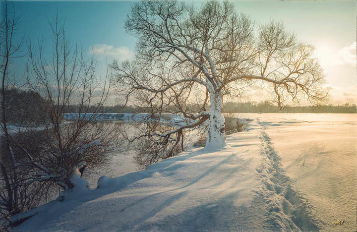 Мороз и солнце