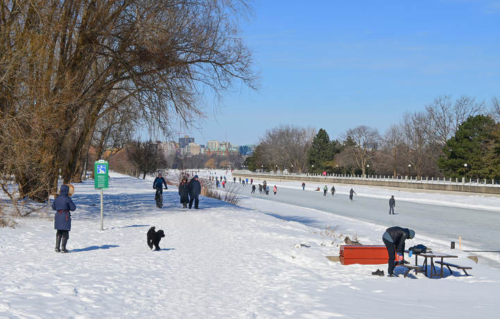 Прогулка вдоль катка