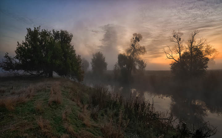 В заколдованных болотах... 2