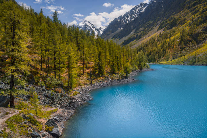 ЦвЕта небесной лазури