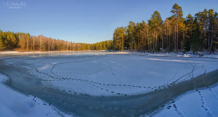 Весенняя улыбка лесного озера