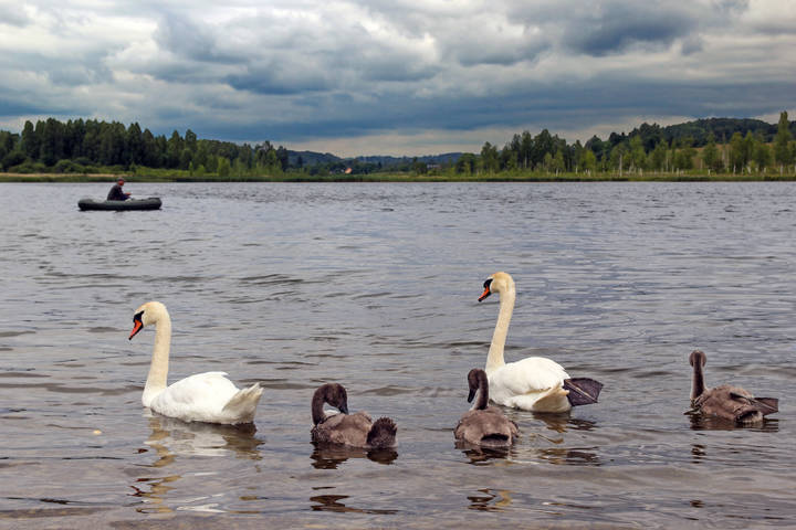  Городищенское озеро
