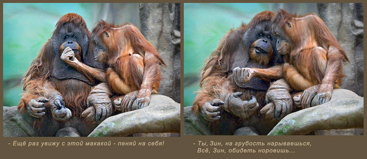 Диптих