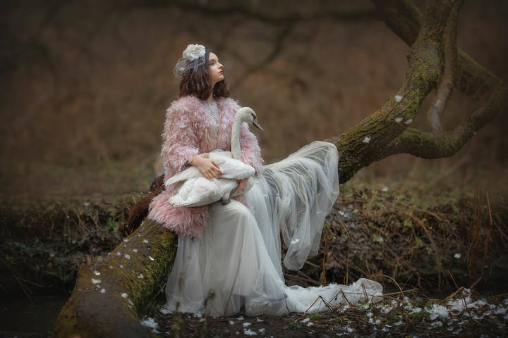 Принцесса-Лебедь