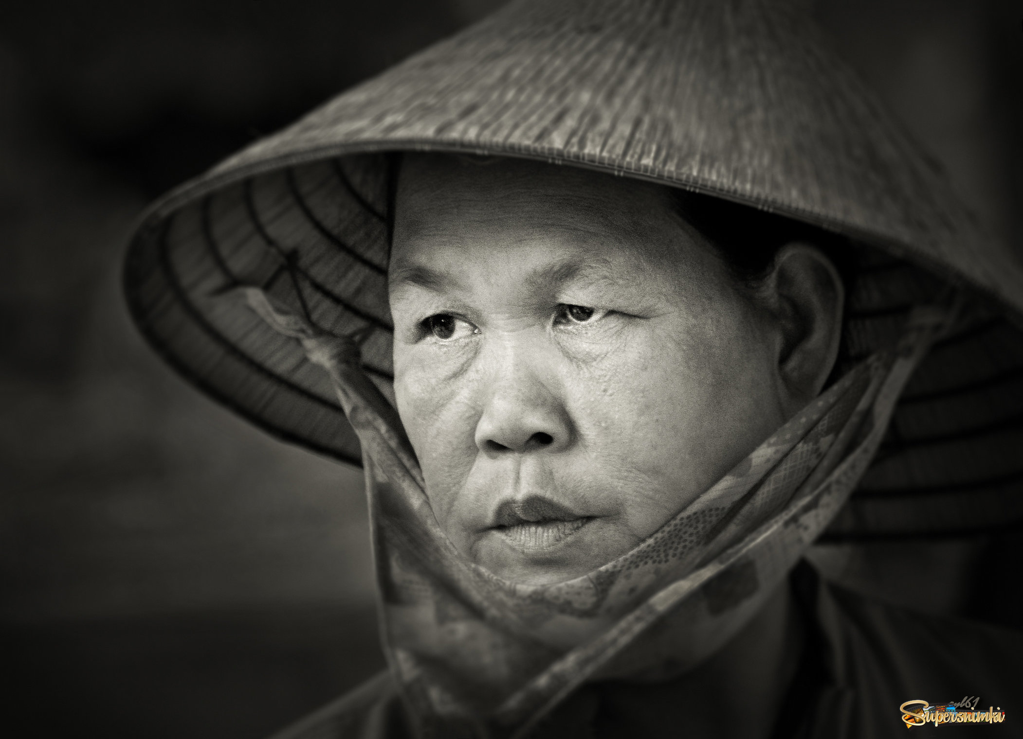 Портрет вьетнамки